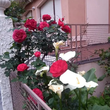 Hotel Meuble Corallo